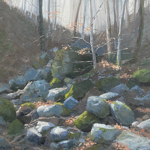 licht in het bos is een landschap schilderij van een bos met bomen en stenen van kunstenaar Marein Konijn