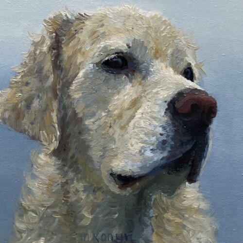 Bono uit de serie hondenportretten van schilder Marein Konijn