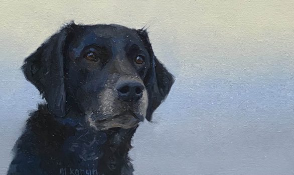 Dagelijkse ontmoetingen, Brazza