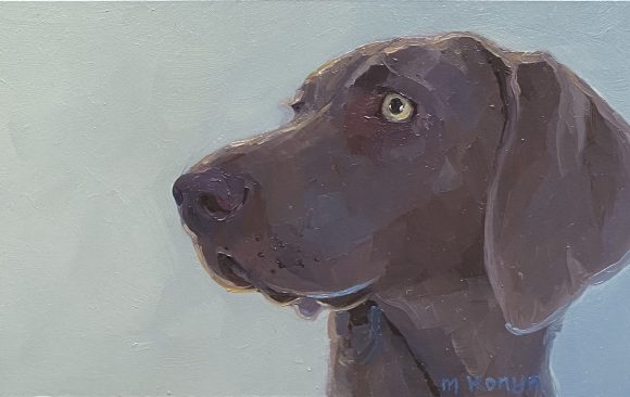 Dagelijkse ontmoetingen, Weimaraner