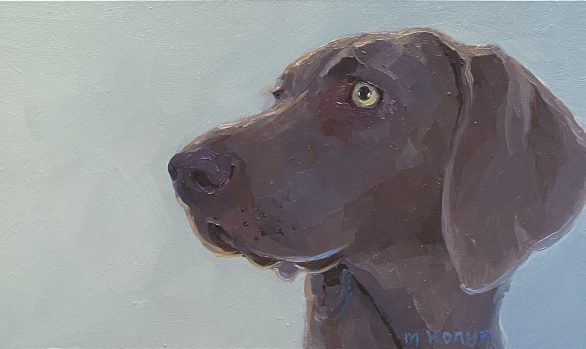 Dagelijkse ontmoetingen, Weimaraner