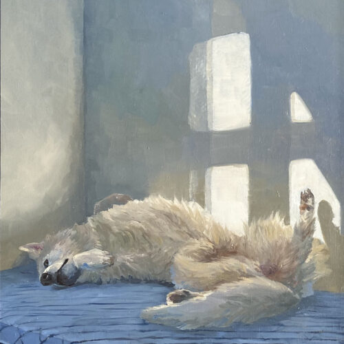 Pootje baden in het zonlicht is een schilderij van een hond liggend in het licht gemaakt door Marein Konijn