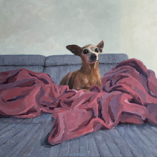 Verstoppertje is een schilderij van een klein hondje op een bank gerold in dekens geschilderd door Marein Konijn