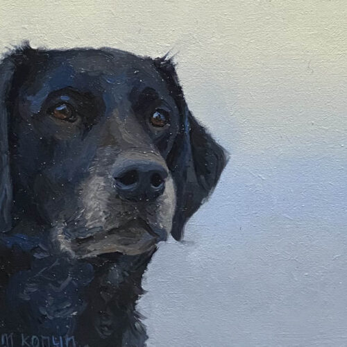 Brazza is een portret van een hond uit de serie Dagelijkse ontmoetingen van kunstenaar Marein Konijn