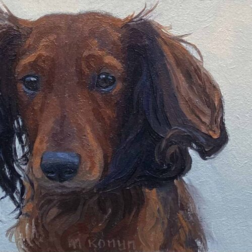 James is een schilder portret van een hond uit de serie Dagelijkse ontmoetingen van kunstenaar Marein Konijn